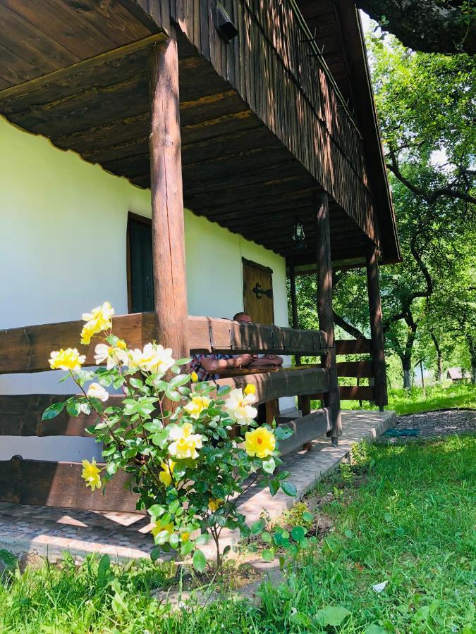 Еко Дім З Соломи Villa Királyfiszállás Kültér fotó