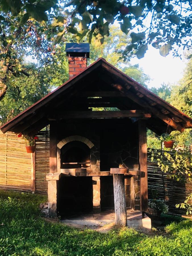 Еко Дім З Соломи Villa Királyfiszállás Kültér fotó