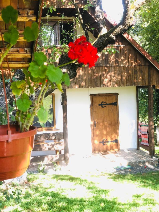 Еко Дім З Соломи Villa Királyfiszállás Kültér fotó