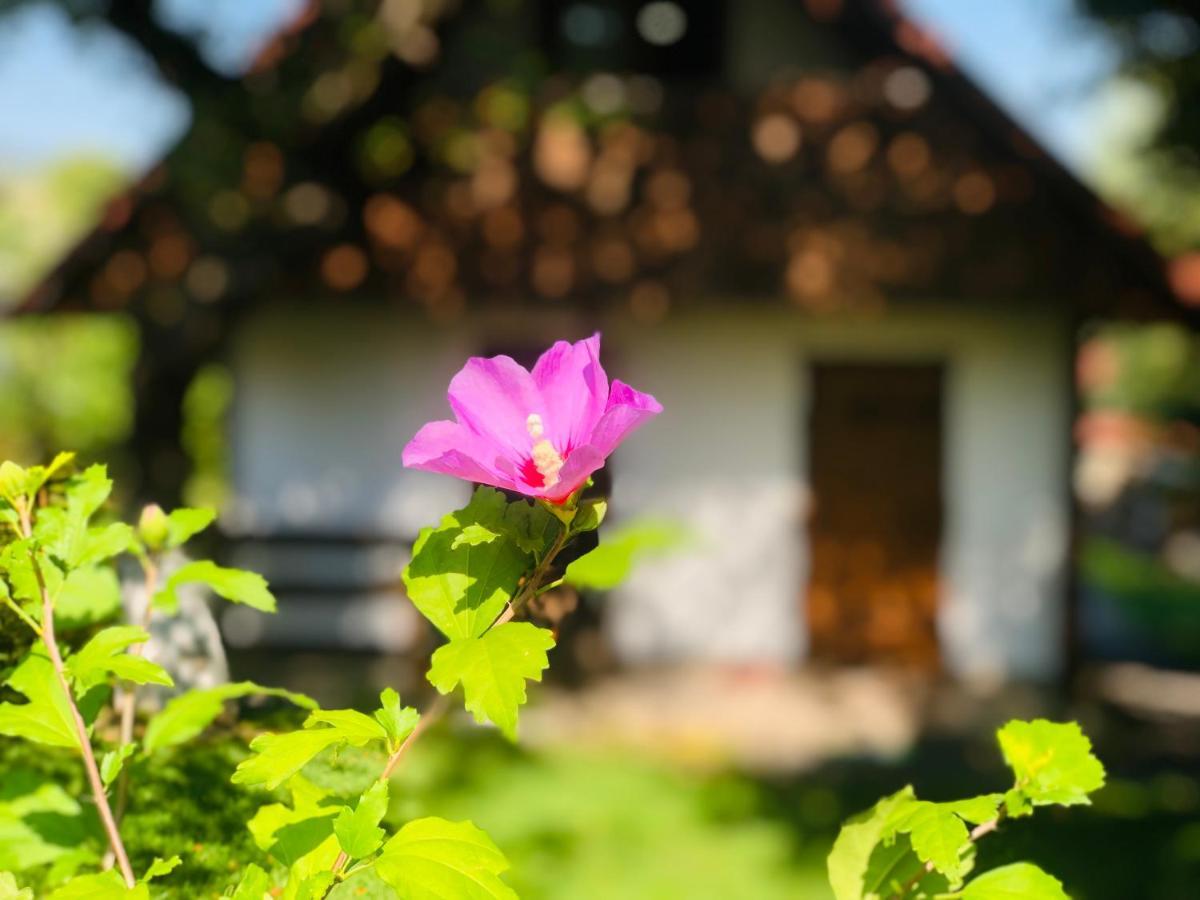 Еко Дім З Соломи Villa Királyfiszállás Kültér fotó