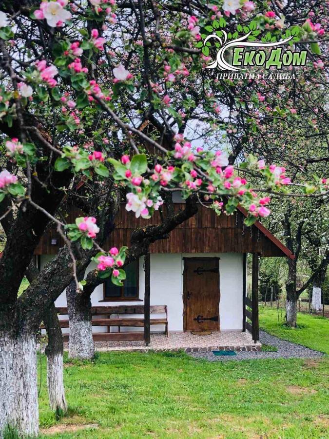 Еко Дім З Соломи Villa Királyfiszállás Kültér fotó