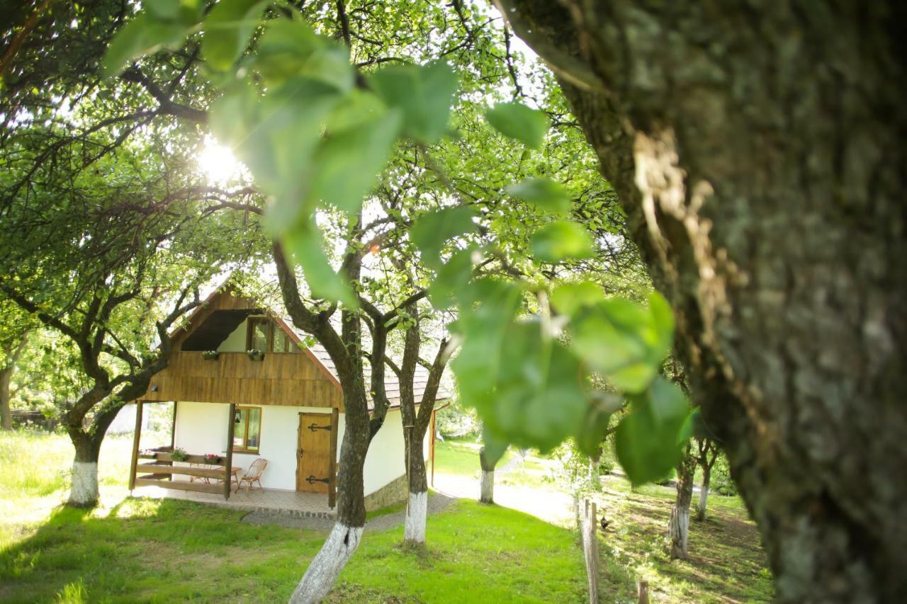 Еко Дім З Соломи Villa Királyfiszállás Kültér fotó