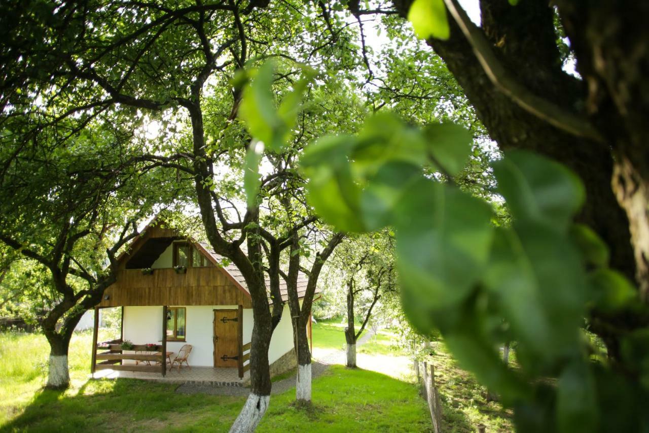 Еко Дім З Соломи Villa Királyfiszállás Kültér fotó