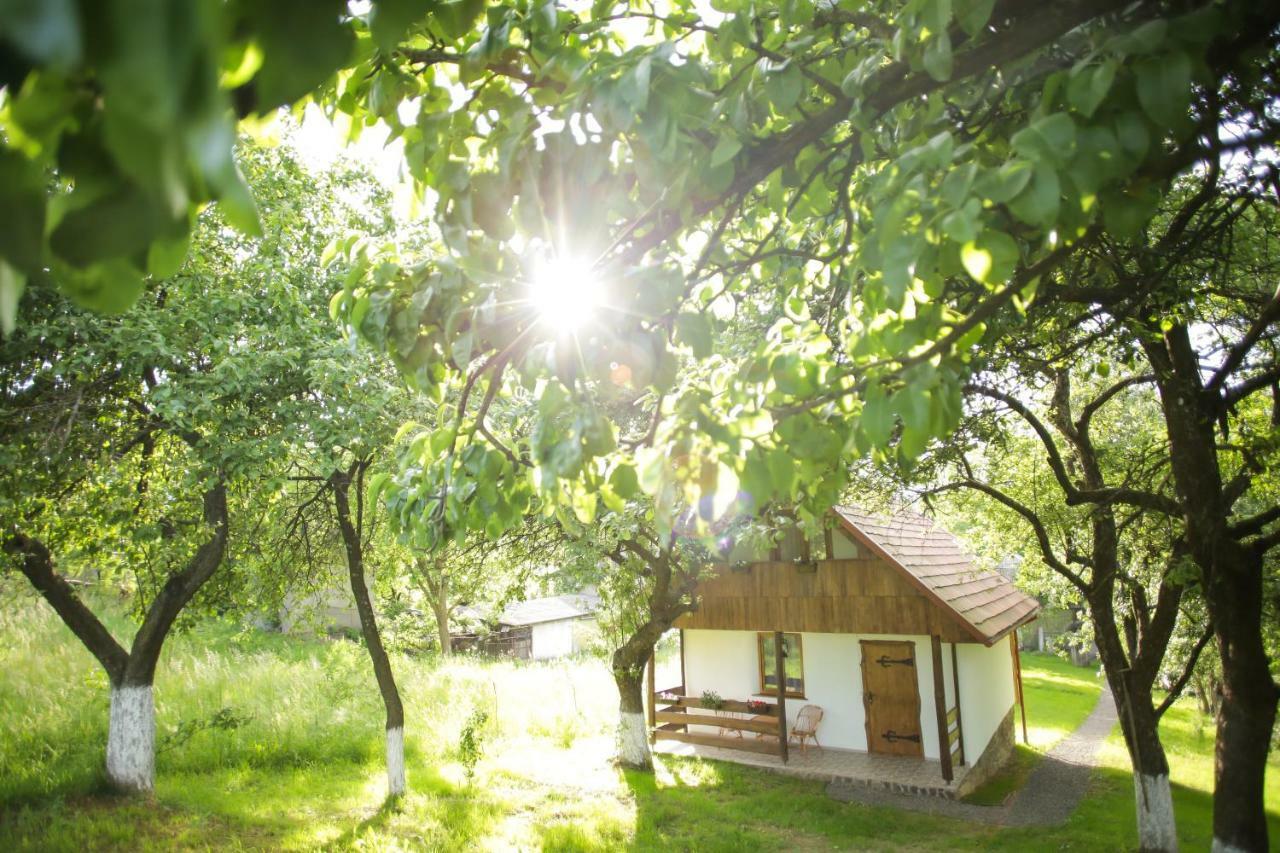 Еко Дім З Соломи Villa Királyfiszállás Kültér fotó