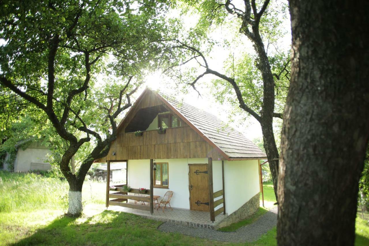 Еко Дім З Соломи Villa Királyfiszállás Kültér fotó